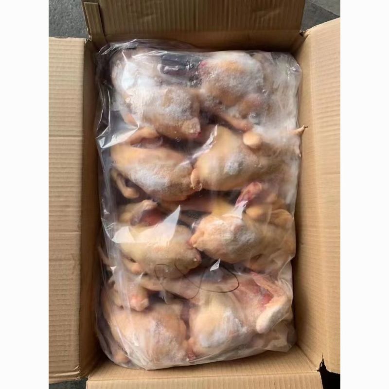 白条鸡（屠宰检疫）鲜杀静膛，量大从优，欢迎来电。