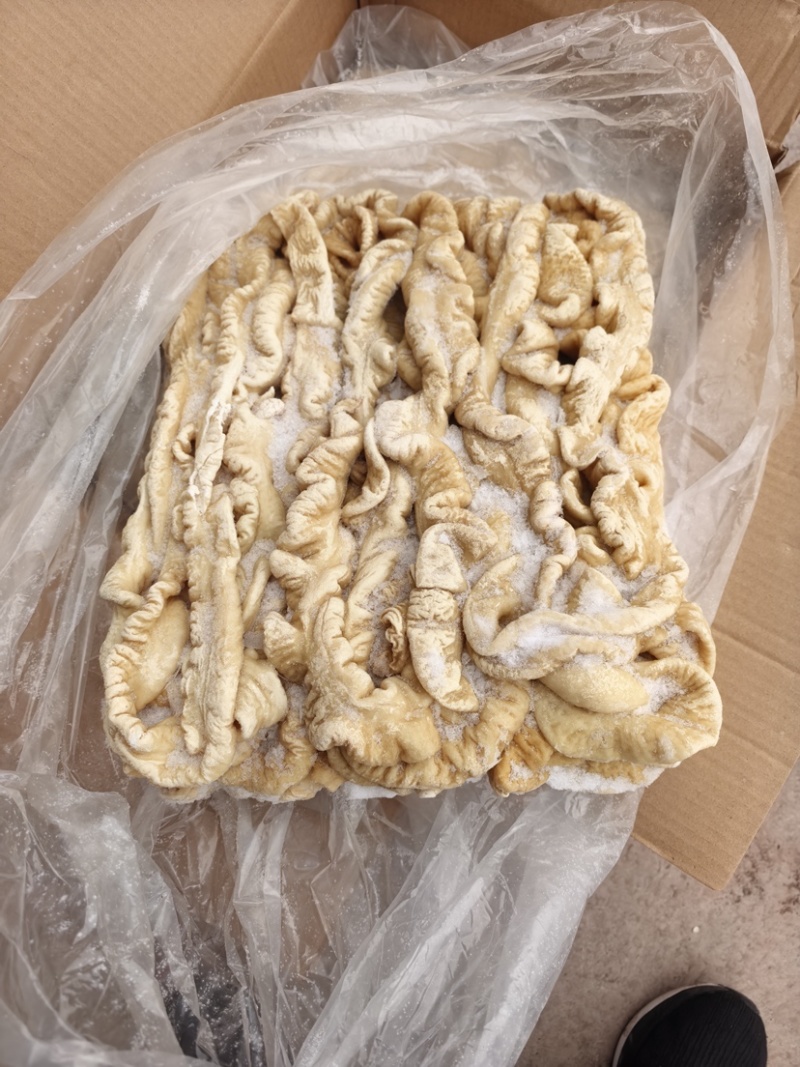 冷冻肥肠85/90去油22500量大可谈