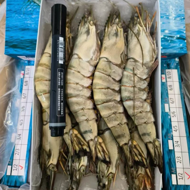 虎虾草虾多规格爽口批发正关大贸货源稳定可靠