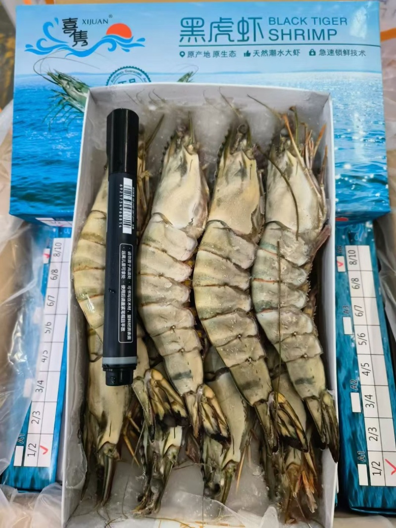 虎虾草虾多规格爽口批发正关大贸货源稳定可靠
