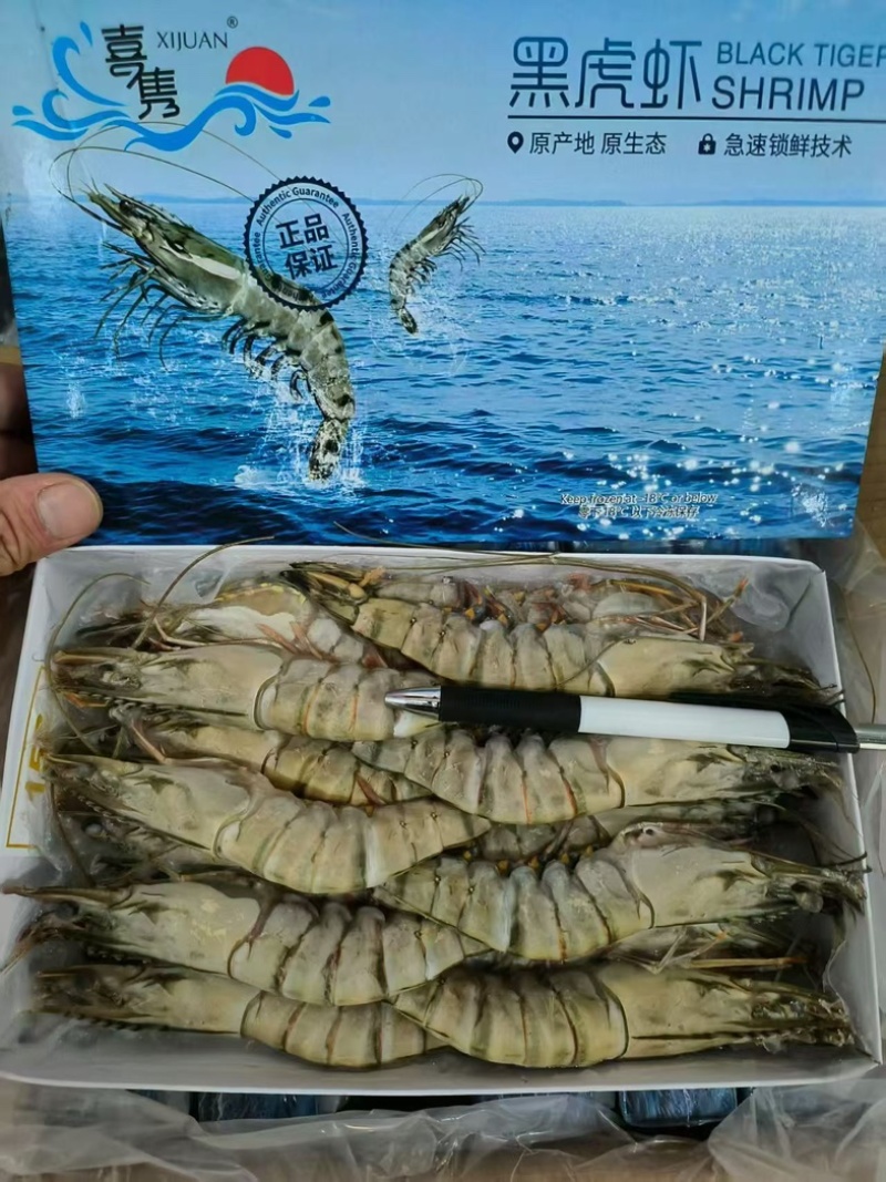 虎虾草虾多规格爽口批发正关大贸货源稳定可靠