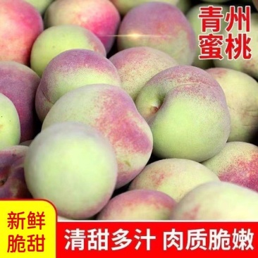 山东青州蜜桃桃子新鲜脆桃毛桃脆桃甜桃硬脆甜非水蜜桃青脆桃