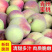 山东青州蜜桃桃子新鲜脆桃毛桃脆桃甜桃硬脆甜非水蜜桃青脆桃