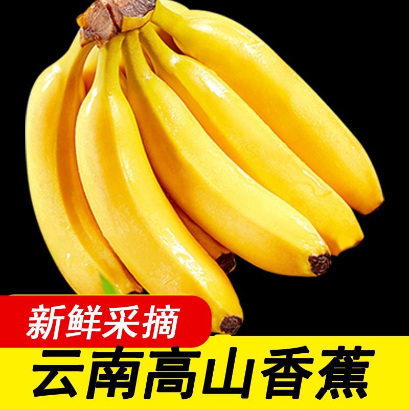 【香蕉批发】批发价薄皮新鲜整箱当季包邮特价香蕉新鲜水果