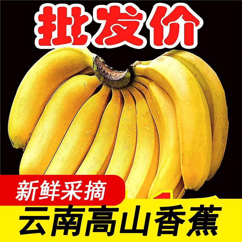 【香蕉批发】批发价薄皮新鲜整箱当季包邮特价香蕉新鲜水果