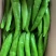 精品大量上市产地直发一手货源保质保量全国发货量大价优