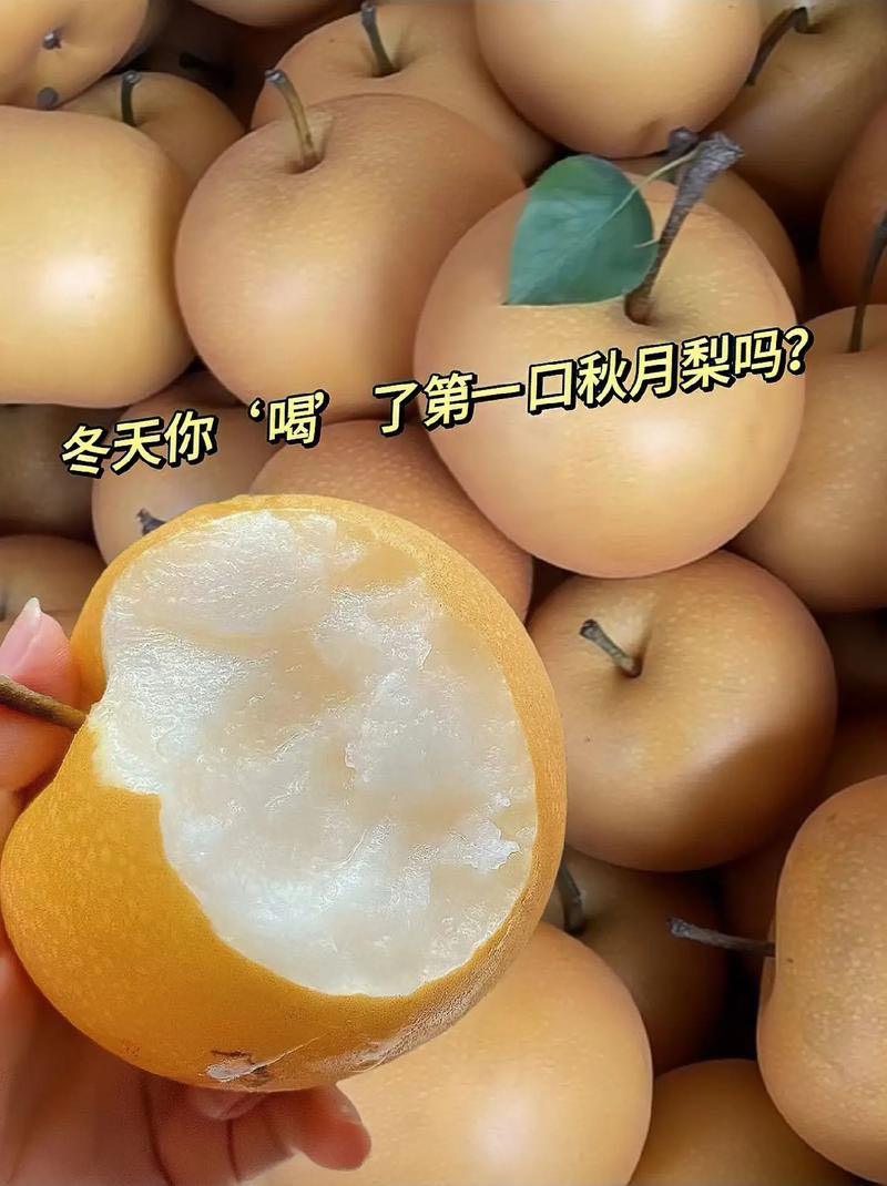 正宗莱阳秋月梨酸甜可口质量保证欢迎咨询