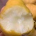 山东正宗丑梨脆甜多汁量大从优欢迎联系