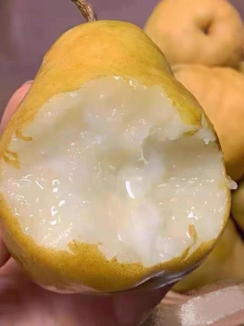 山东正宗丑梨脆甜多汁量大从优欢迎联系