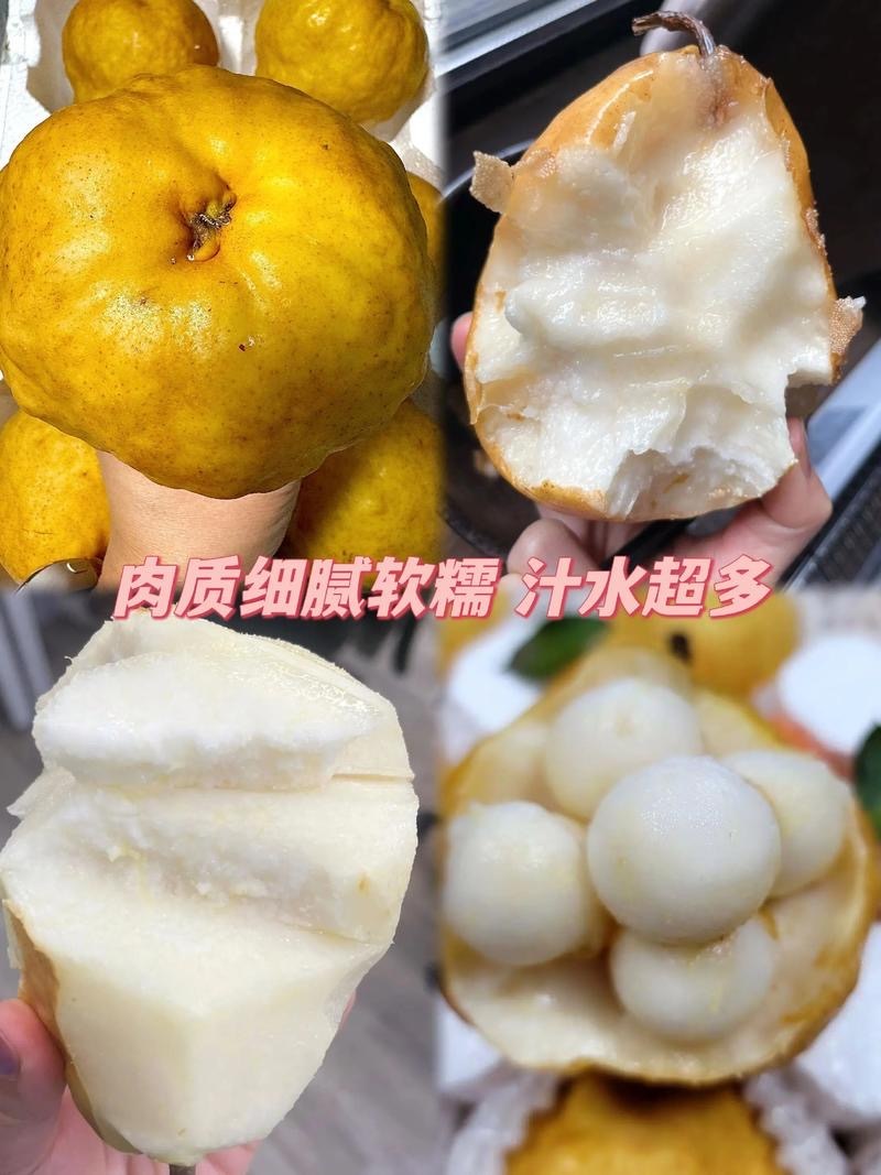 山东正宗丑梨脆甜多汁量大从优欢迎联系