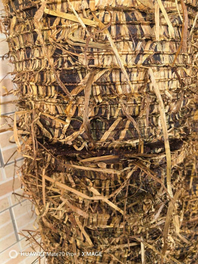 茶油渣饼