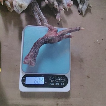 麻鸡脚