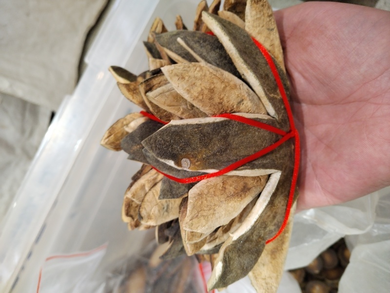 化橘红陈年原产化州橘红五爪七爪皮绒毛多宫廷传统手工***
