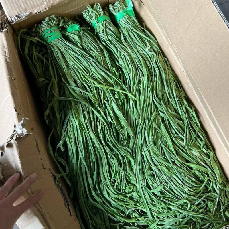 大理宾川贡菜大量上市中，贡菜青笋跟贡菜成品都有。价格随行