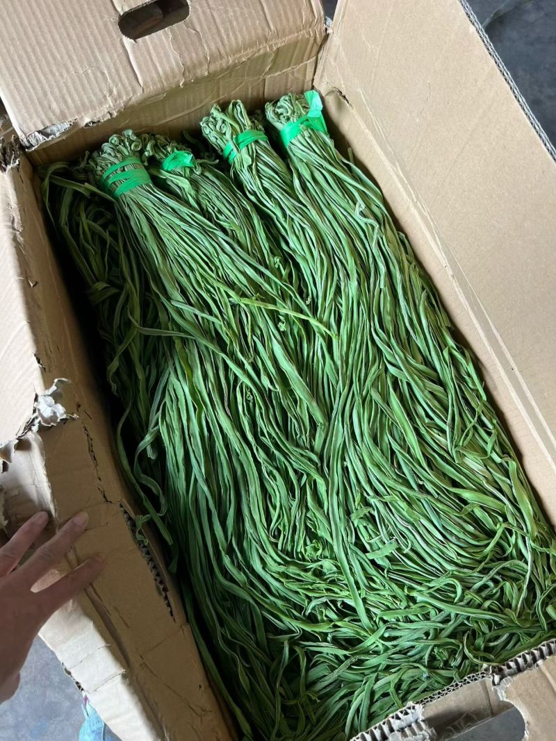 大理宾川贡菜大量上市中，贡菜青笋跟贡菜成品都有。价格随行