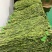 大理宾川贡菜大量上市中，贡菜青笋跟贡菜成品都有。价格随行
