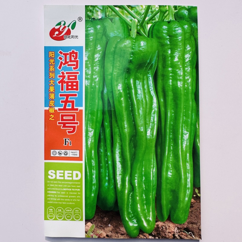 精质999大果薄皮椒种子抗病高产春秋大田基地种植辣椒种子