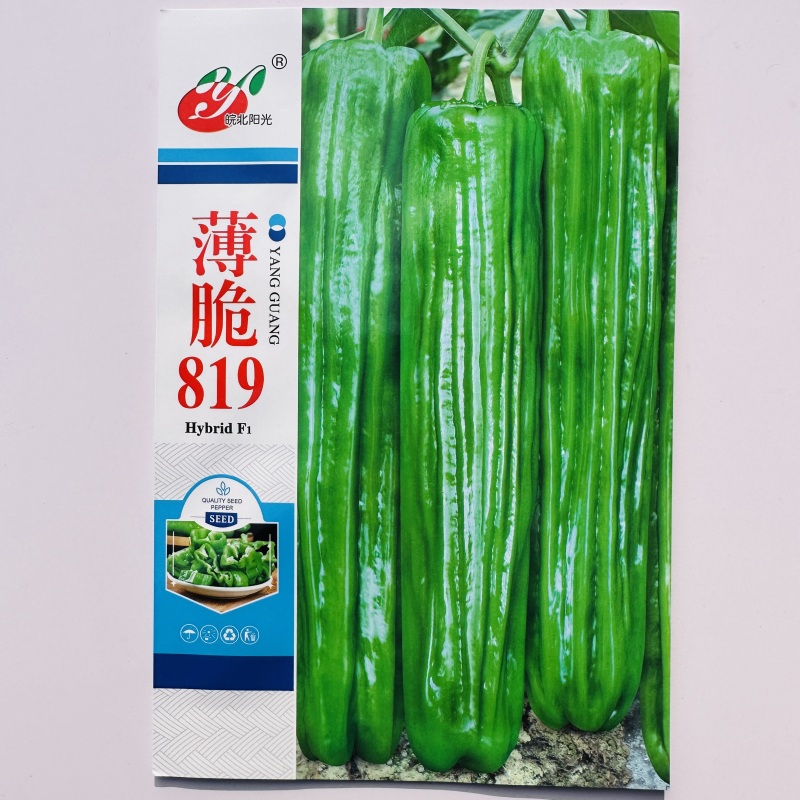 精质999大果薄皮椒种子抗病高产春秋大田基地种植辣椒种子