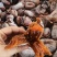 青州柿饼农家自产自销吊柿饼产地直发对接全国量大优惠