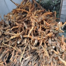 穿破石又名九层皮自然生长干货鲜货常年供应欢迎来电选购