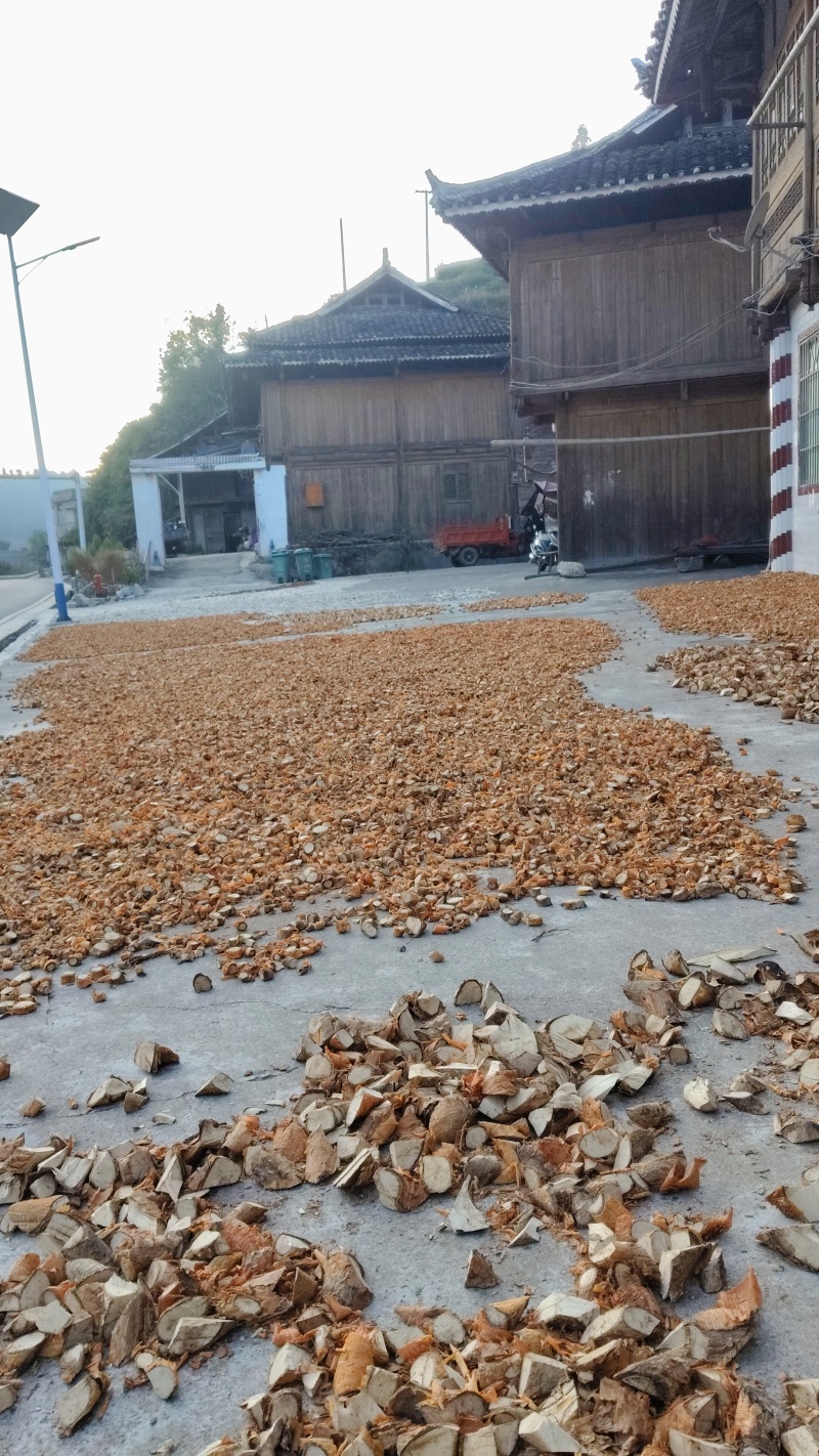 穿破石又名九层皮自然生长干货鲜货常年供应欢迎来电选购