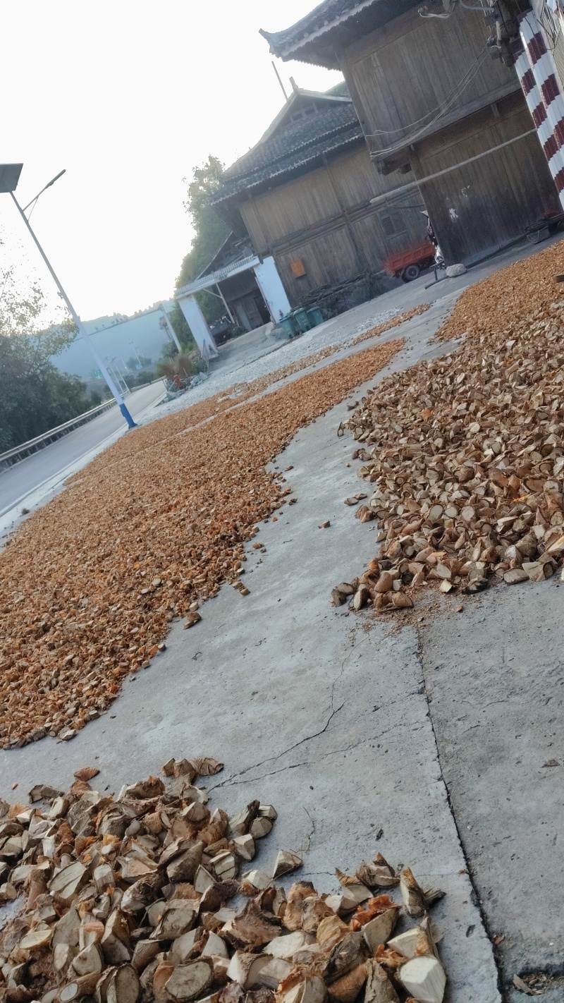 穿破石又名九层皮自然生长干货鲜货常年供应欢迎来电选购