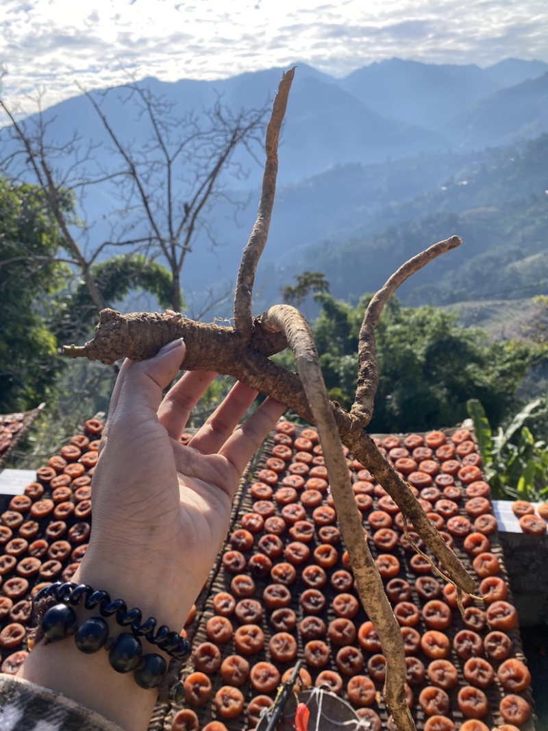 云南特产农户自晒柿饼干***口感软糯香甜柿子柿饼干货
