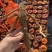 云南特产农户自晒柿饼干***口感软糯香甜柿子柿饼干货