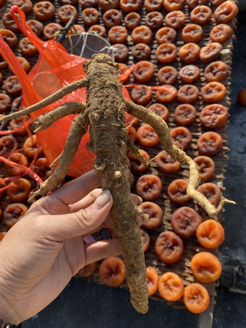 云南特产农户自晒柿饼干***口感软糯香甜柿子柿饼干货