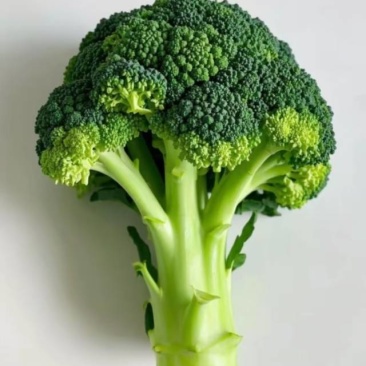 西蓝花大量有货