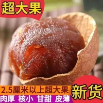 广西5A新货桂圆干核小壳薄肉厚500g龙眼干特产干货玉林