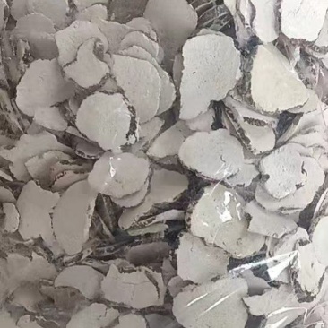 海南虎奶菇（自产自销，批发价，量大，包邮）