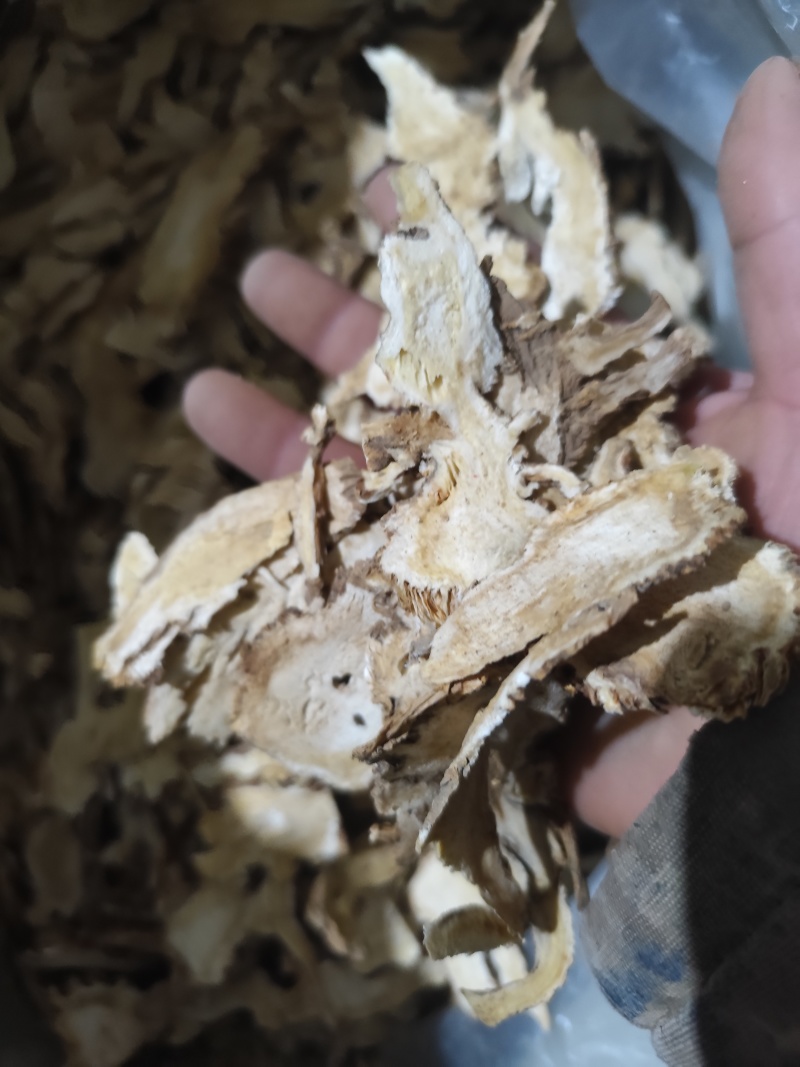 香甜当归头片直销格随时可聊