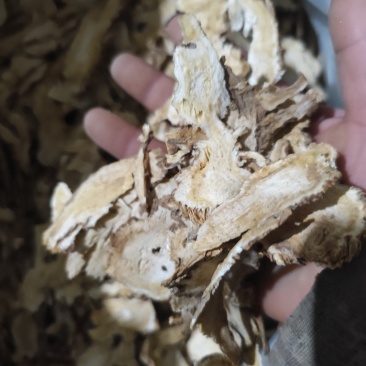 香甜当归头片直销格随时可聊