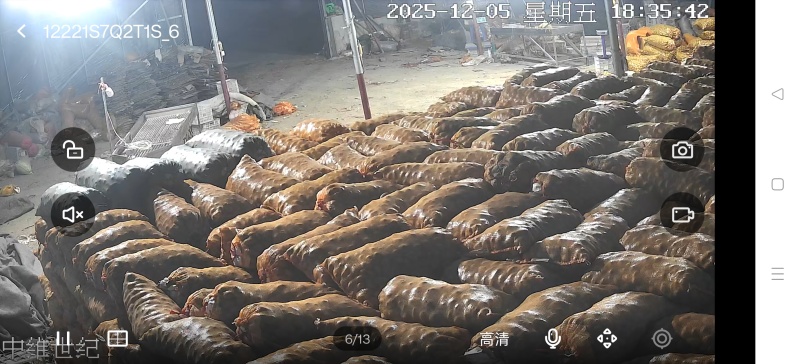 适合云贵川地区脱毒土豆种，荷兰十五，沃土，806大量供应