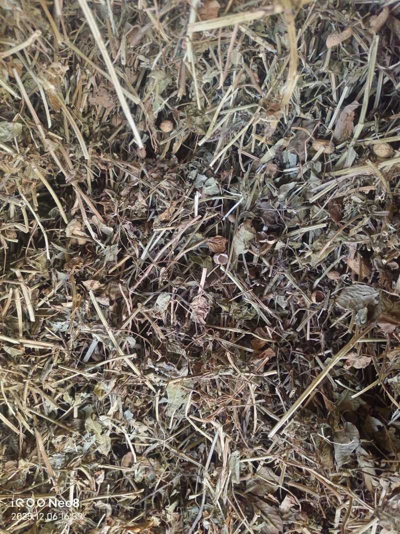 河南春花生秧牛羊草料欢迎各位老板致电