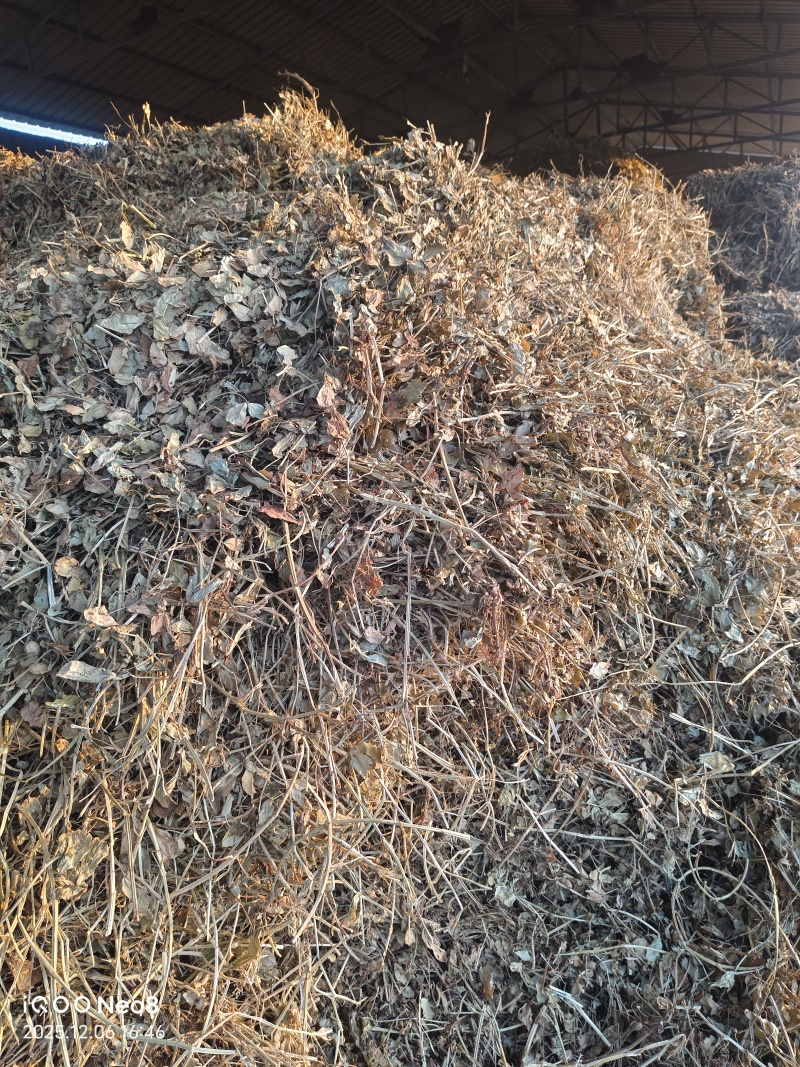 河南春花生秧牛羊草料欢迎各位老板致电