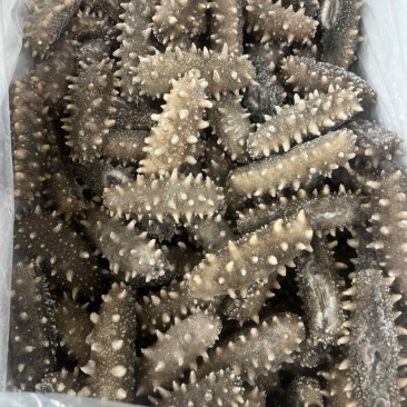 即食海参