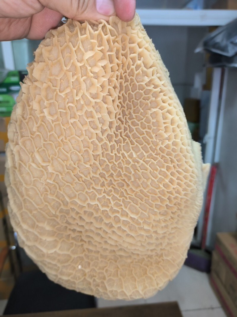 【熟金钱肚】批发50斤水煮全熟牛肚金钱肚