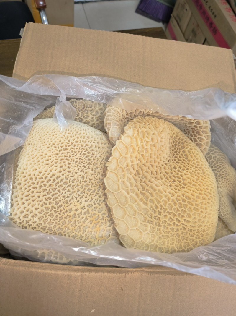 【熟金钱肚】批发50斤水煮全熟牛肚金钱肚