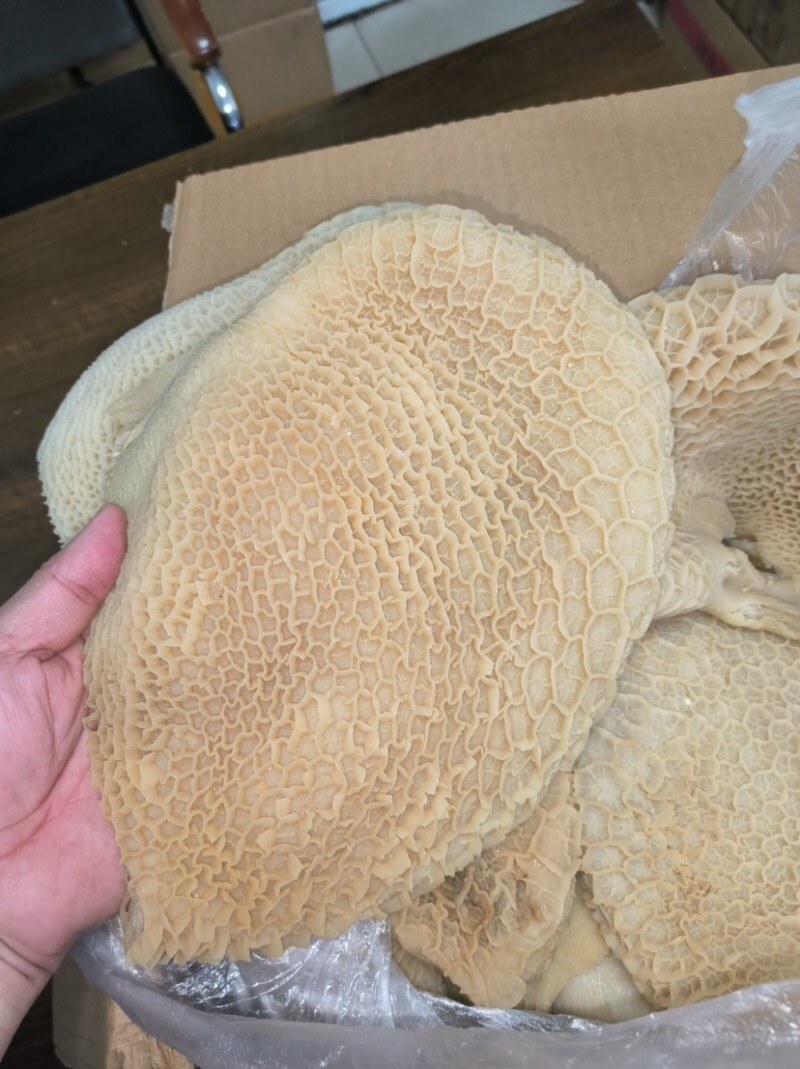 【熟金钱肚】批发50斤水煮全熟牛肚金钱肚