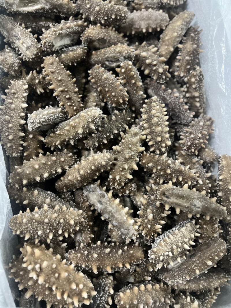 即食海参7到10头，口感好，便宜实惠回头客
