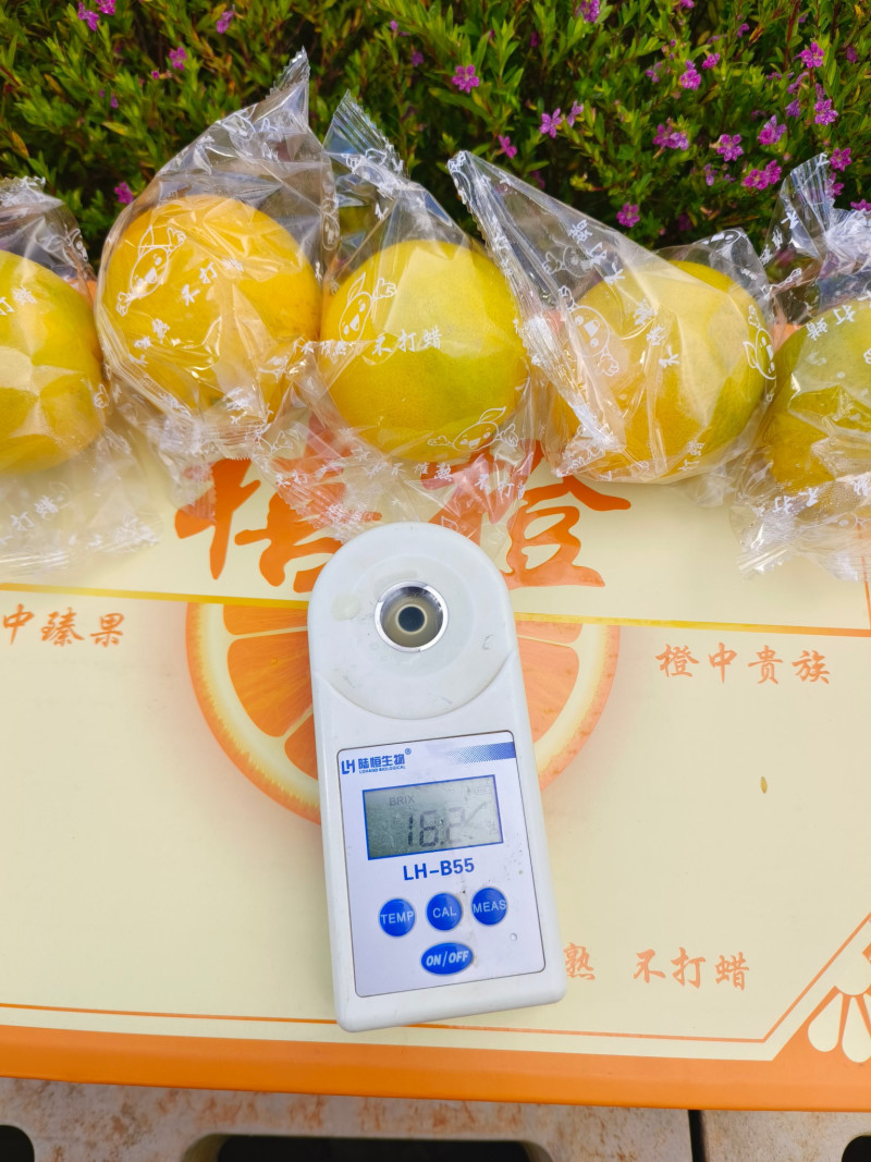 新鲜应季云南高山甜橙禧橙礼盒每一个果都独立包装不崔熟不打