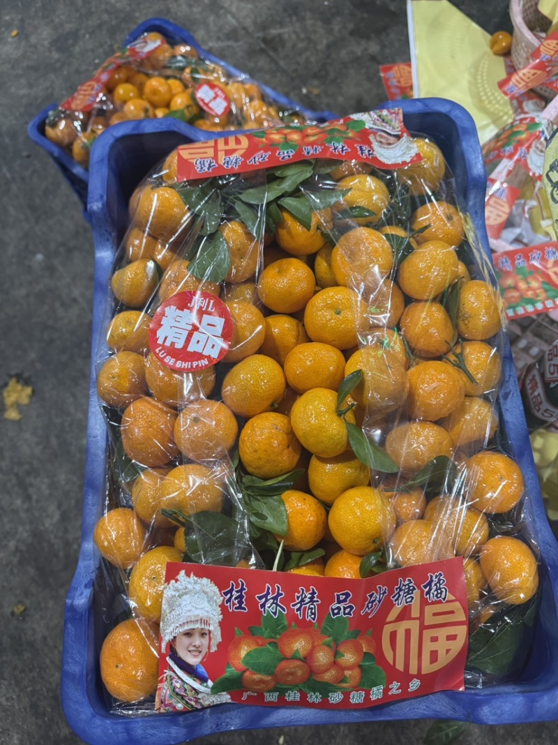 👍广西桂林砂糖橘早熟八月桔口感纯甜化渣质量好货源稳定