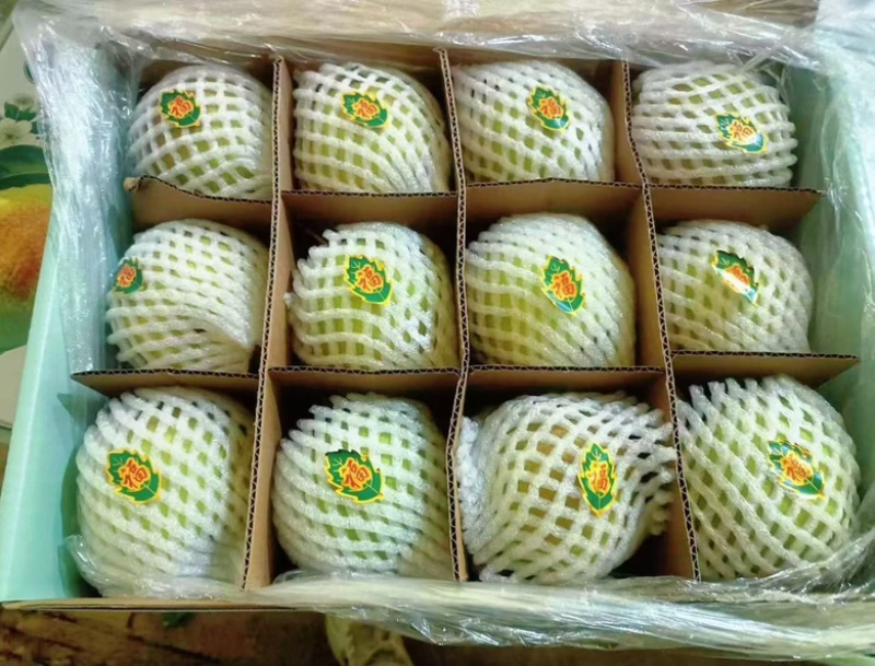 黄陵县翡翠梨，可一件代发，保证质量