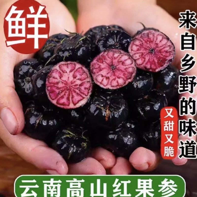 云南高原红果参大量现货