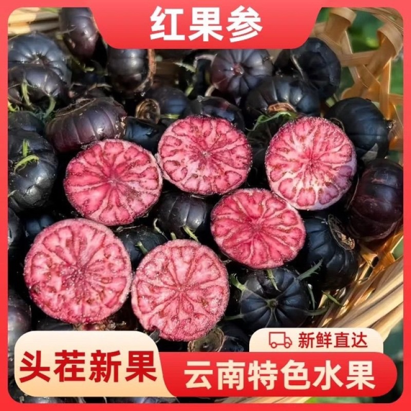 云南高原红果参大量现货