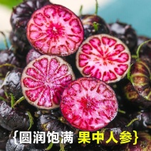云南高原红果参大量现货