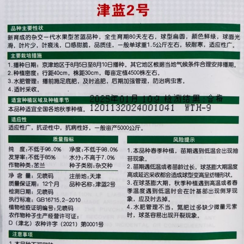 水果苤蓝种子二号三号早熟甜脆水果丕兰种籽农家大田春秋季播