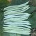 锦绣白如玉架豆种子早熟白豆角芸豆肉厚无筋四季豆籽